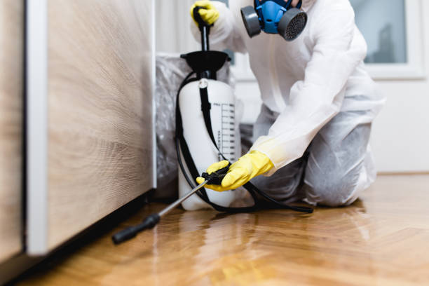 Pest Control Cost in Dasher, GA