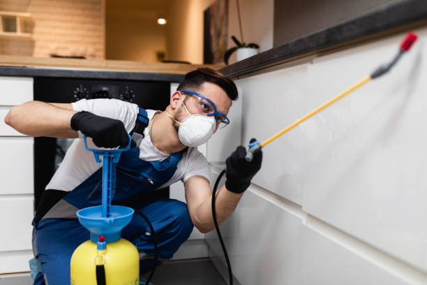 Best Termite Control Services  in Dasher, GA