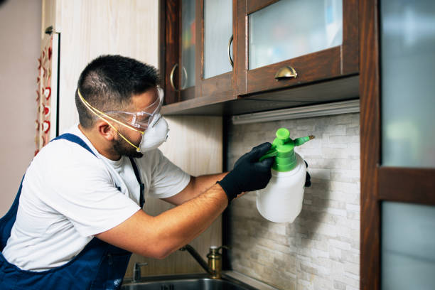 Flea Control Services in Dasher, GA