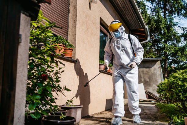 Best Commercial Pest Control Services  in Dasher, GA