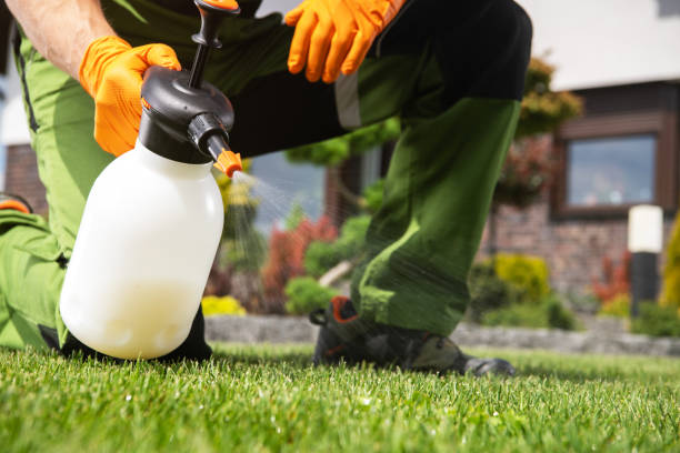 Best Pest Prevention Services  in Dasher, GA