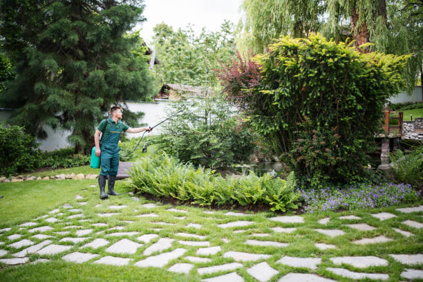 Best Best Pest Control Companies  in Dasher, GA