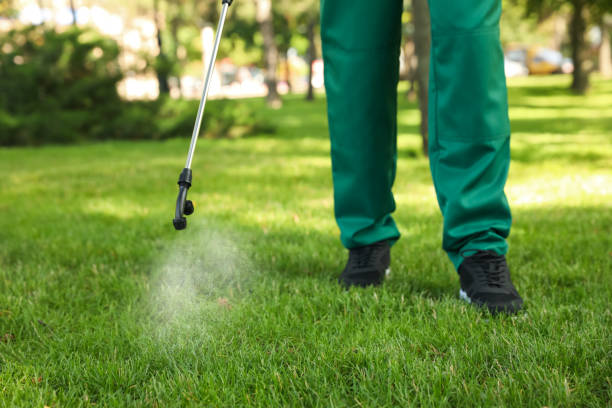 Best Commercial Pest Control Services  in Dasher, GA
