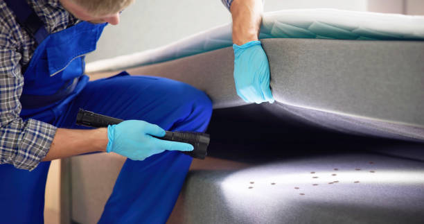 Best Bed Bug Extermination  in Dasher, GA