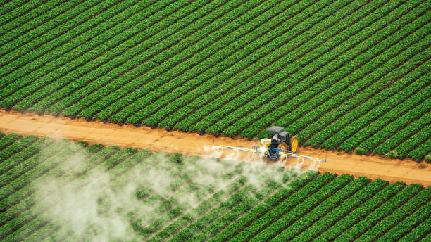 Insect Control in Dasher, GA
