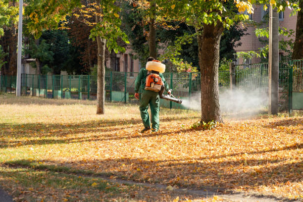 Best Exterminator Services  in Dasher, GA