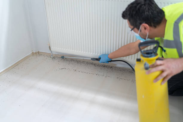 Best Best Pest Control Companies  in Dasher, GA