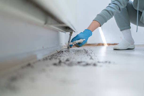 Best Affordable Pest Control Services  in Dasher, GA