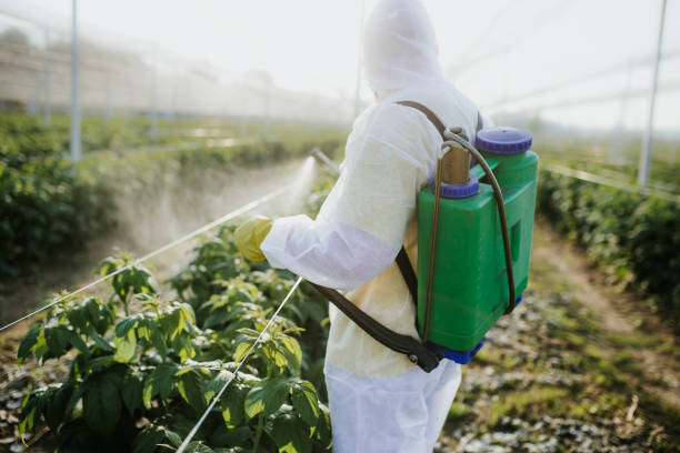 Best Ant Control Services  in Dasher, GA